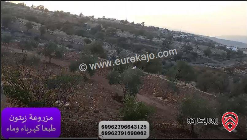 مزرعة مساحة الأرض 3500م والبناء طابقين دوبلكس 200م ومسبح للبيع في جرش - المصطبة