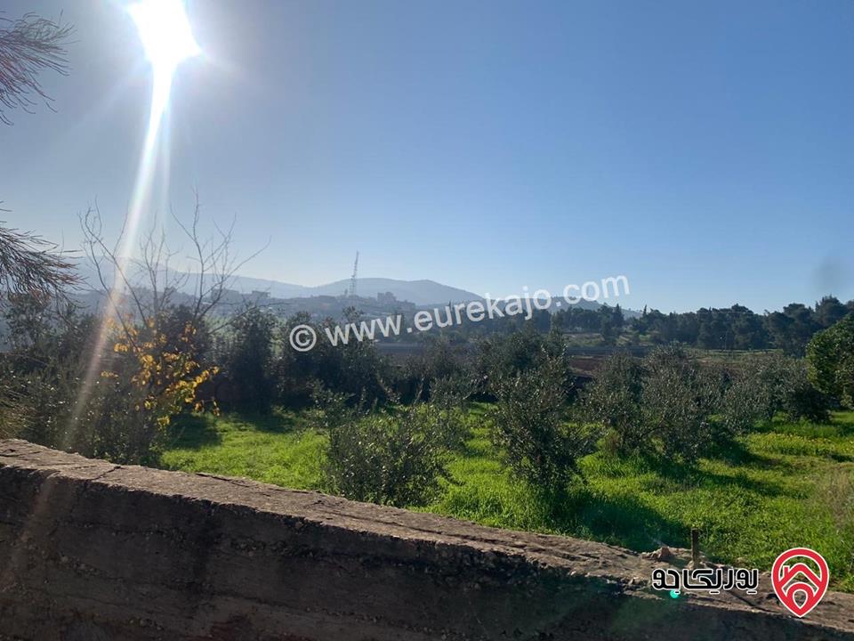 مزرعة مساحة الأرض 4 دونم والبناء 200م للبيع في البلقاء - منطقة تل الرمان 