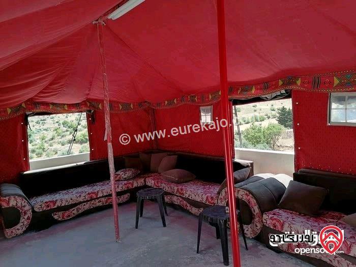 مزرعة نموذجية مساحة الأرض 6116م فيها بيت مساحة 100م و معرش عنب على شارعين جميع الخدمات للبيع في صخرة - عجلون