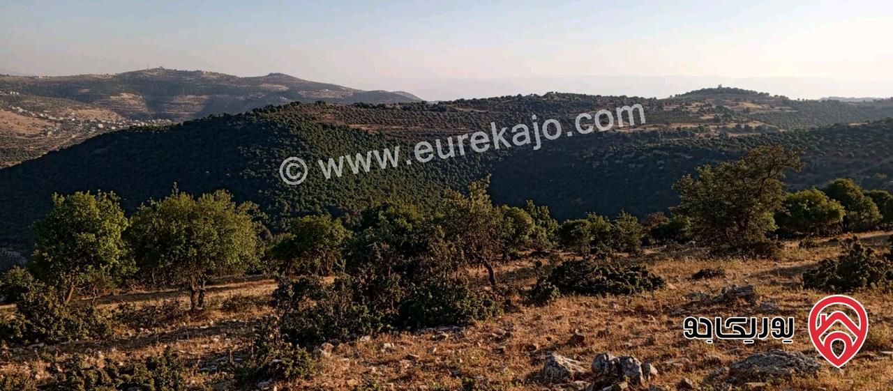 أرض مميزة مساحة 2 دونم للبيع في محافظة عجلون منطقة عنجرة / خربة الحنيش الأثرية 
