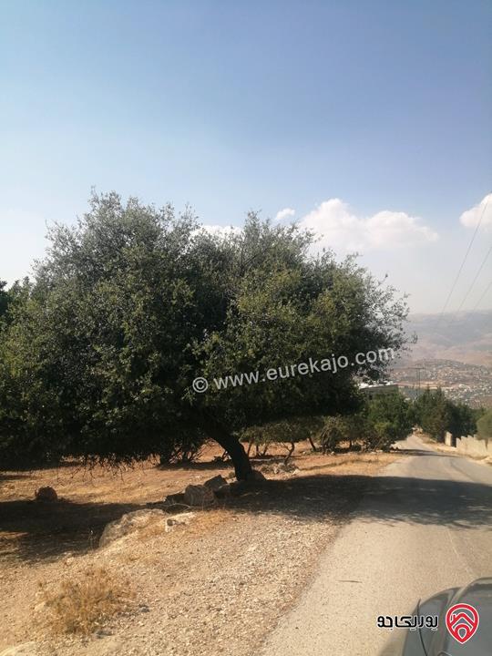 أرض مميزة مساحة 3 دونم و 600م للبيع في السلط زي اطلالة جميلة على عجلون وجرش والغرب تصلح للمزرعة او للسكن 