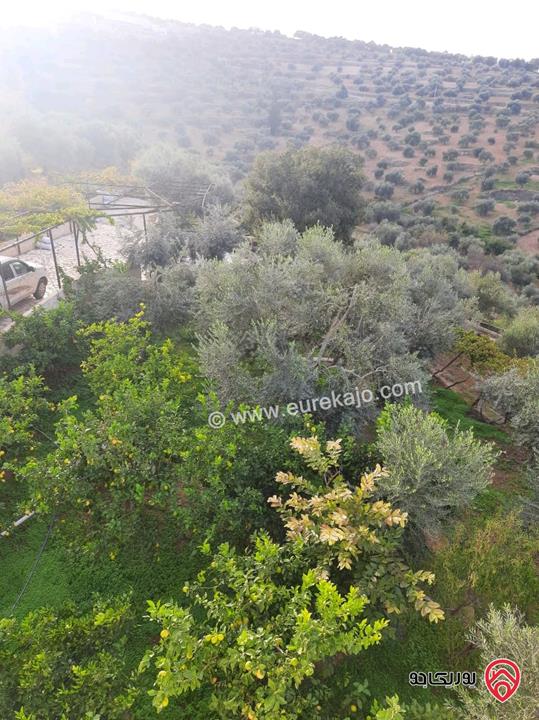 مزرعة زيتون مساحة الأرض 8 دونم و 300م و البناء مساحة 100م للبيع في السلط