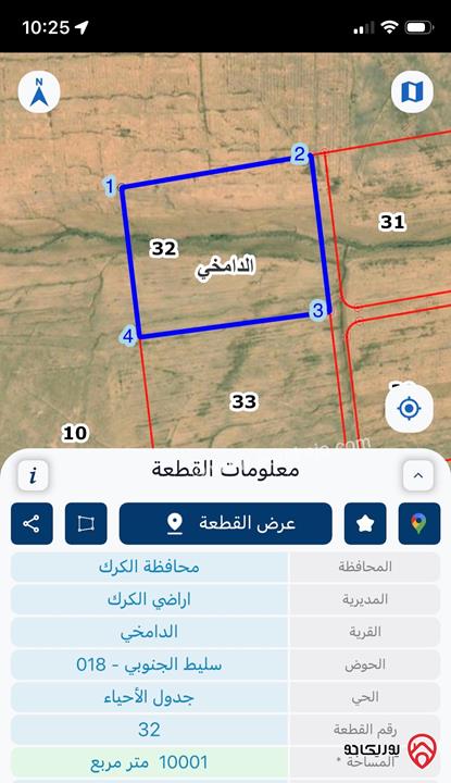 ارض مساحة 10 دونم للبيع في الكرك - الدامخي