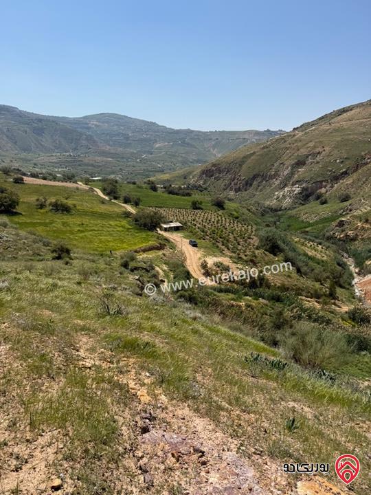 قطعة أرض مساحة 10 دونم و 721م للبيع من أراضي غرب عمان - البحاث حوض القليلات