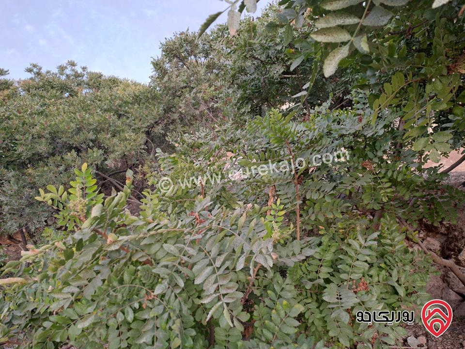 قطعة ارض مساحة 517م للبيع في منطقة السلط كفر هودة