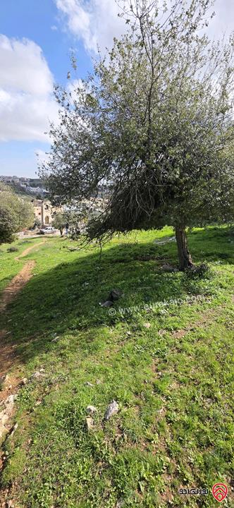 قطعة أرض مساحة 939م للبيع من أراضي غرب عمان - بلال