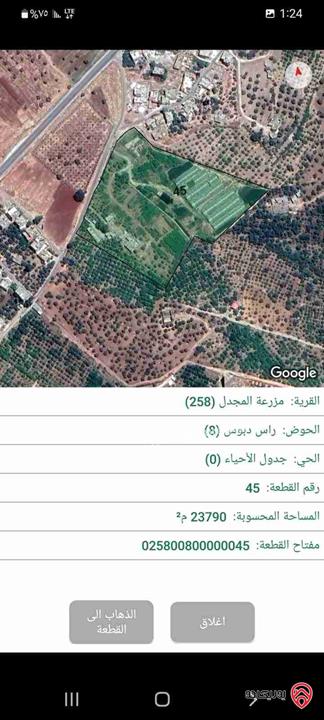 مزرعة مساحة 24 دونم للبيع في جرش 