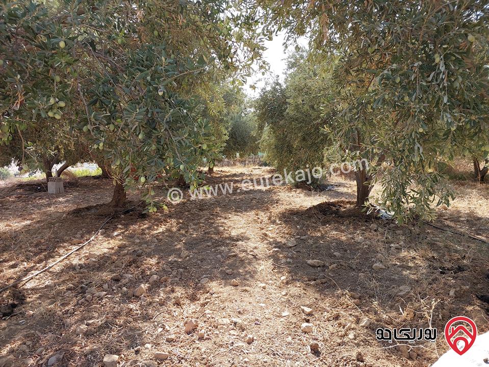 مزرعة مساحة 4 دونم للبيع في غرب عمان - البحاث 