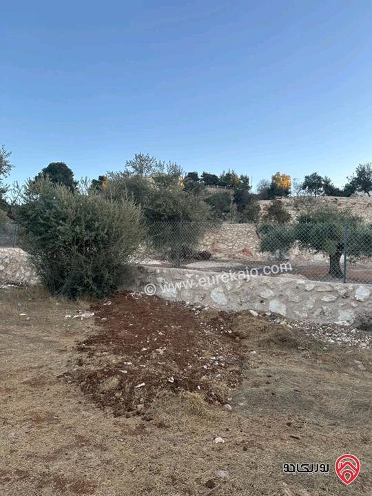 قطعة ارض مساحة 1720م للبيع في اجمل مناطق السلط زي منطقة حيوية وجميلة جدا مزراع وفلل فقط قريبة من كل الخدمات 