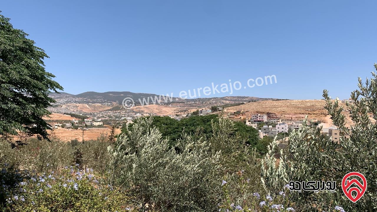 مزرعة مساحة الأرض 2 دونم للبيع بدون منزل في جرش حي الجبارات