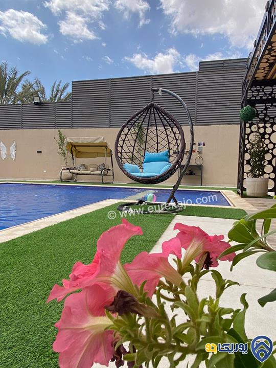 شاليه - مزرعة LaVida Villa - لاڤيدا للايجار اليومي في البحر الميت - الرامة 