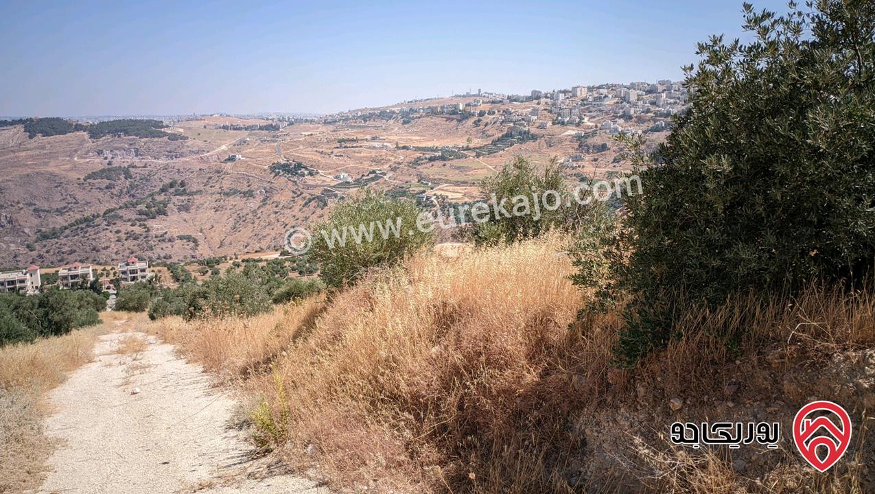 قطعة ارض مساحة 748م للبيع في عمان - ناعور 