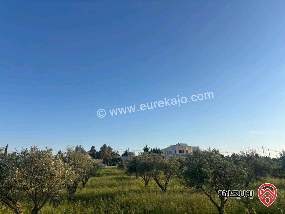 قطعة أرض مساحة 812م للبيع في مادبا - الخطابية 