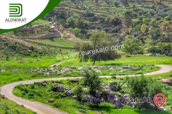 ارض مميزة للبيع بالقرب من دابوق /الفحيص مساحتها 3600م منطقة فلل حديثة على شارعين