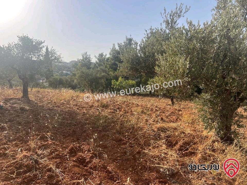 قطعة أرض ريفية مساحة 7 دونم للبيع في في جرش سوف حوض بيدر الحمص 