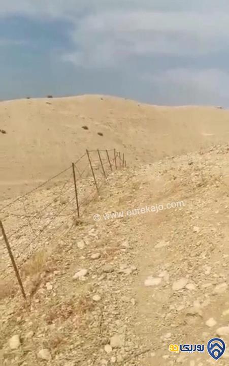 قطعة أرض مساحة 50 دنم في الغور الشمالي -اربد