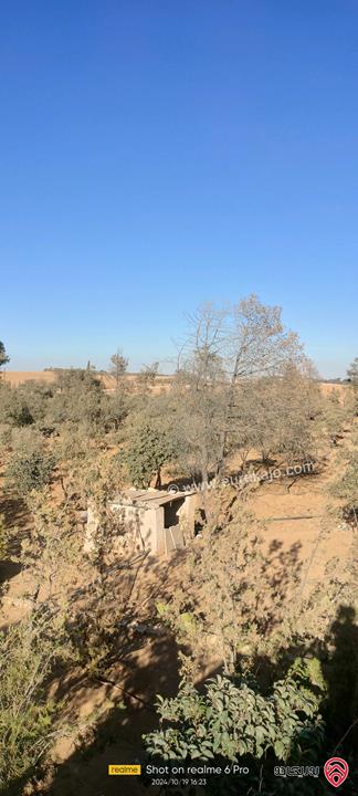 مزرعة مساحة 10 دونم مع مسبح صغير وبيت صغير للبيع في جنوب عمان حوض الهريج ملاصق لحواره مادبا