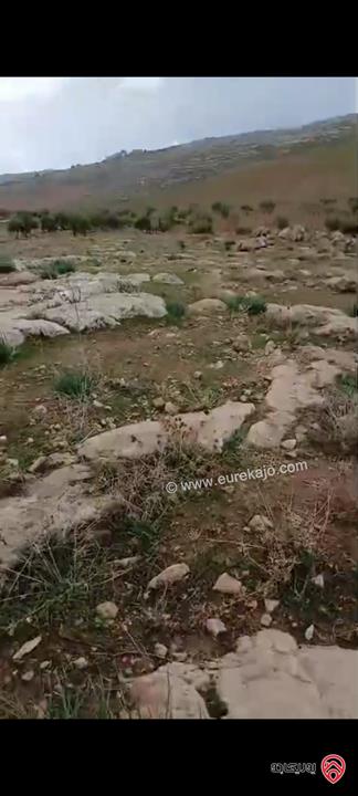 أرض مساحة 5 دونم للبيع في مادبا – لب