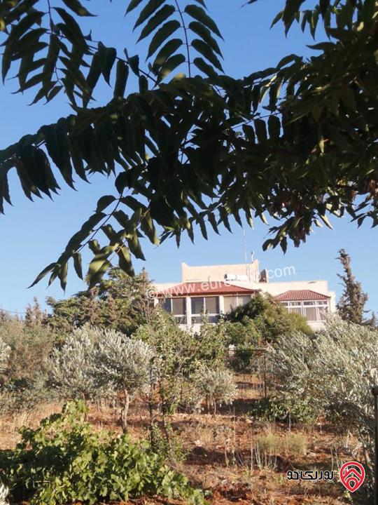 مزرعة مساحة الأرض 4 دونم و 398م والبناء 230م للبيع في جرش - قفقفا