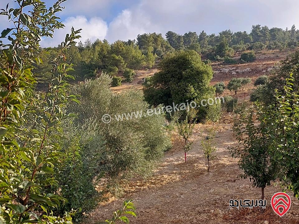 قطعة أرض مساحة 4 دونم و 661م للبيع في عجلون - عنجرة 