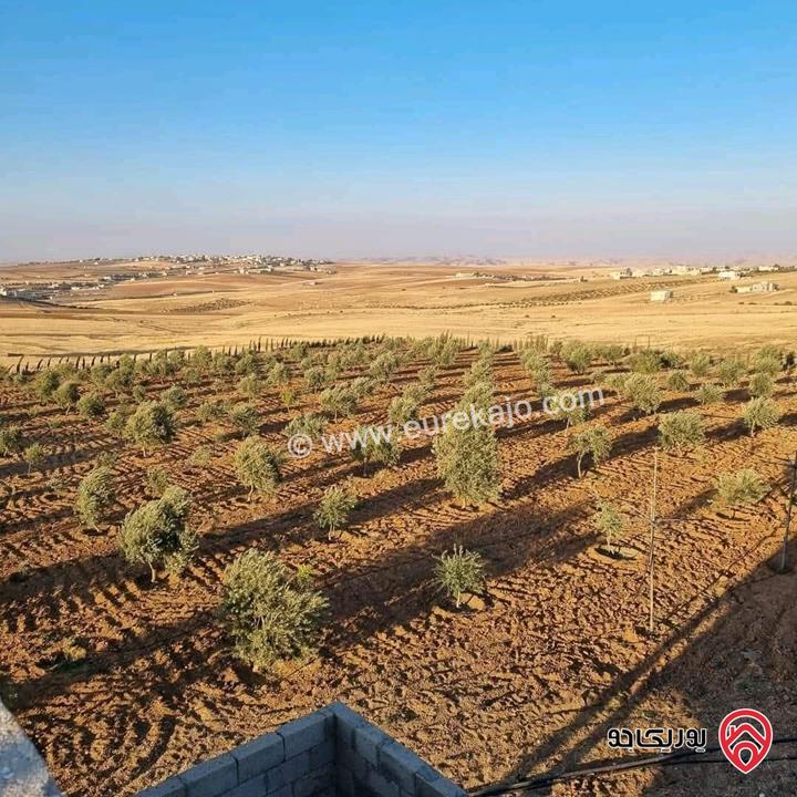 أرض زراعية مساحة 25 دونم للبيع في الكرك - فقوع