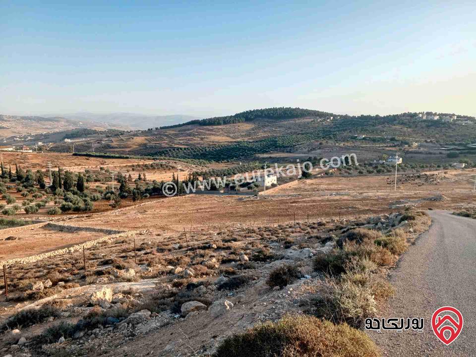 أرض مساحة 4 دونم و 700م للبيع في المفرق