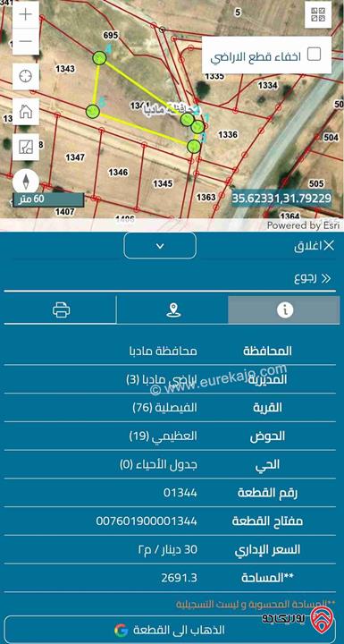 قطعة أرض مساحة 2 دونم و 691م للبيع في البحر الميت - الرامة  