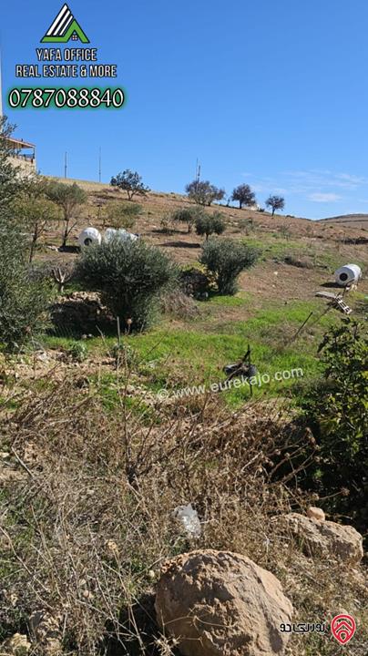 أرض مميزة مساحة 892م للبيع في عمان - شفا بدران