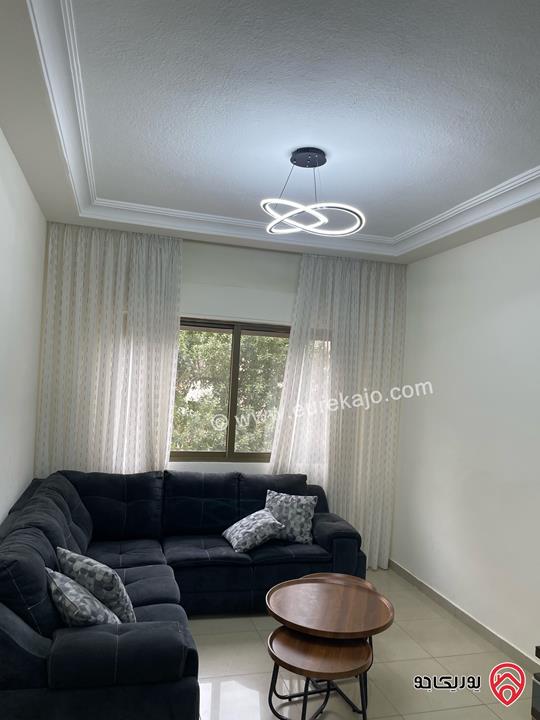 Cozy furnished two bedroom apartment of 100 sqm for rent in Amman - Abdoun