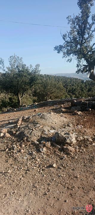 أرض مساحة 650متر للبيع في عمان - ابو السوس أسكان المهندسين