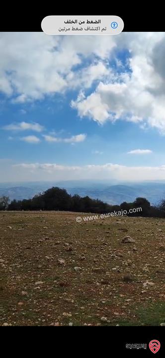 قطعة أرض مساحة 1 دونم للبيع في جرش دبين منطقة سياحية خلابة