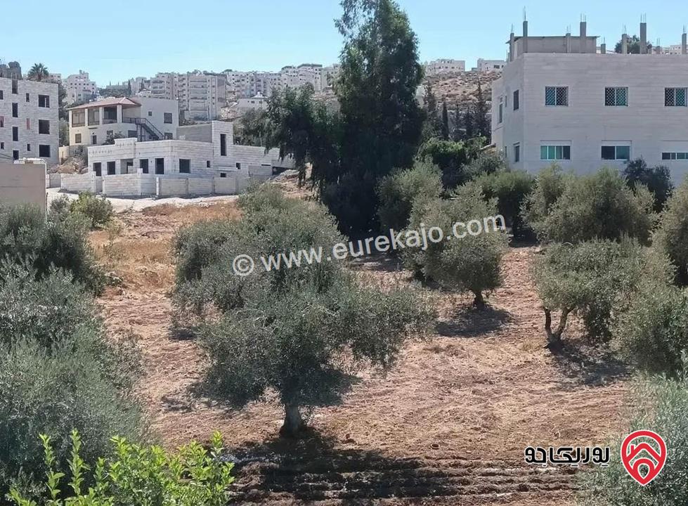 قطعة ارض مساحة 1 دونم للبيع في عمان - ابو نصير 