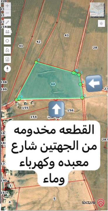 قطعة ارض مساحة 55 دنم للبيع من اراضي جنوب عمان قضاء ام الرصاص رجم عقاب