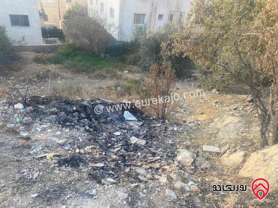 قطعة أرض مساحة 501م للبيع في عمان - ناعور