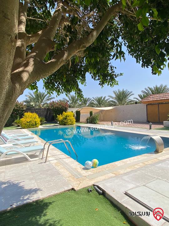 مزرعة Palm Paradise Farm للايجار اليومي في البحر الميت