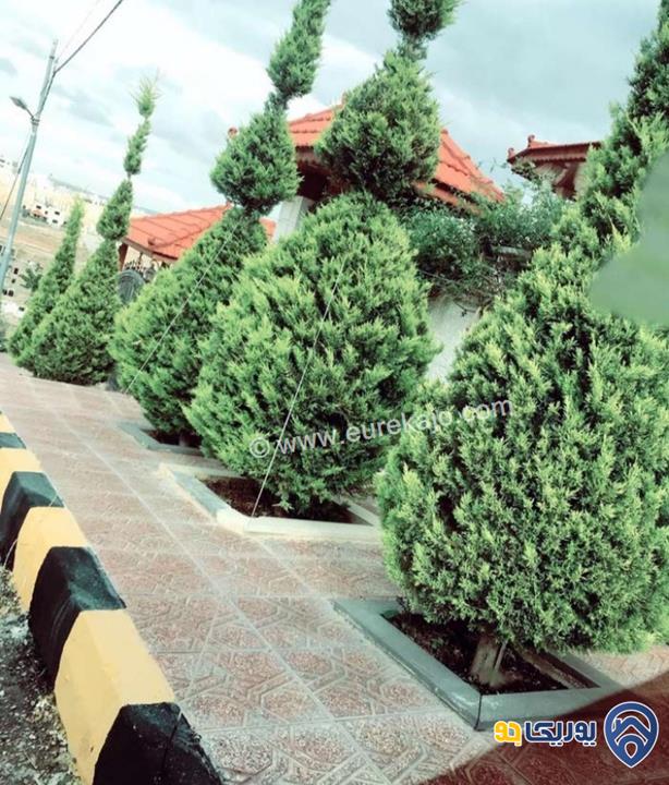 بيت مستقل مساحة 600م ومساحة الارض 600م للبيع في الزرقاء - ضاحية المدينة المنورة 