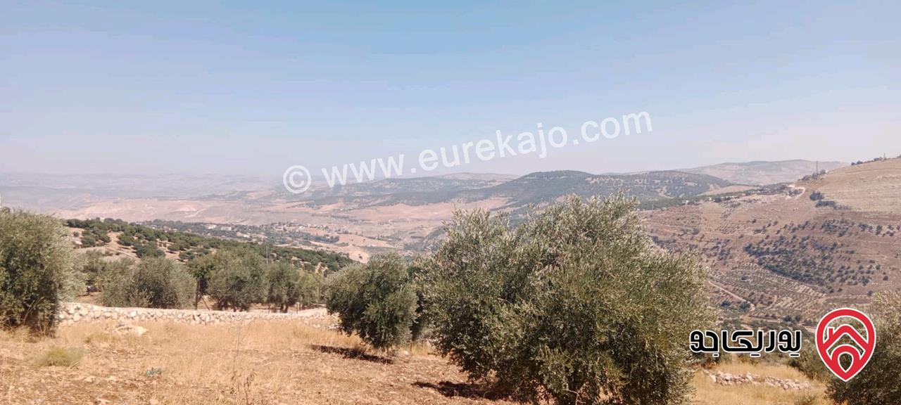قطع أراضي زراعية مساحة 3 دونم / 4 دونم للبيع في السلط الزعتري سعر الدونم 37 الف