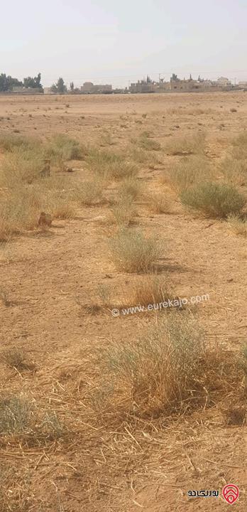 قطعة أرض مساحتها 18 دونم و 620م قوشان مستقل، جميع الخدمات متوفرة، للبيع في محافظة المفرق - ام الجمال