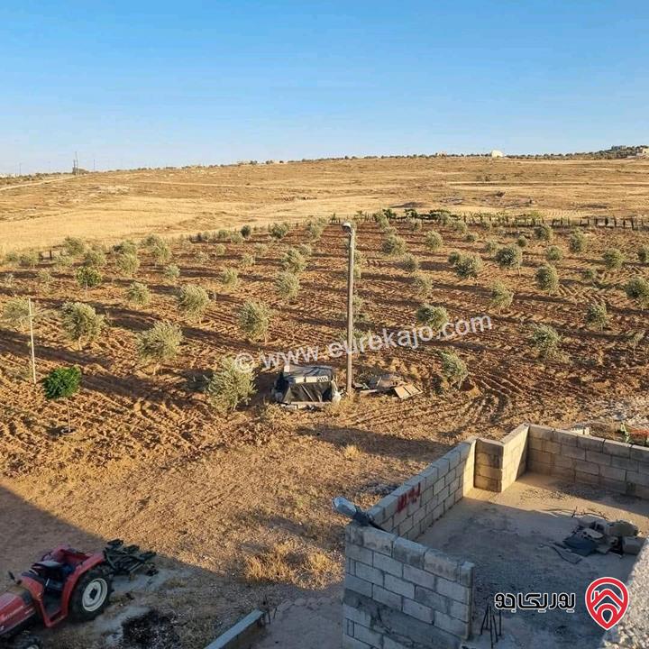 أرض زراعية مساحة 25 دونم للبيع في الكرك - فقوع