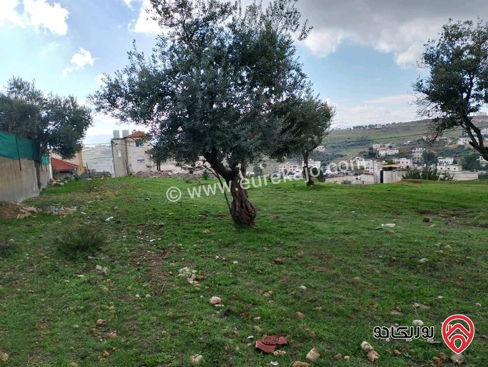 قطعة أرض مساحة 1 دونم و 150م للبيع في جرش