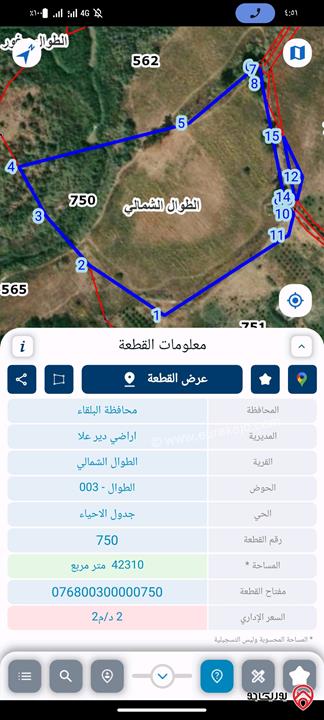 قطعة أرض زراعية مساحة 42 دونم للبيع في السلط - الزور سعر البيع 161الف دينار اردني شامل التنازل