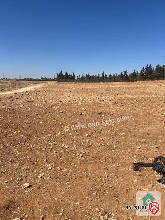 أرض مساحة 4 دونم و 749م للبيع في عمان - أم العمد حوض النجمية