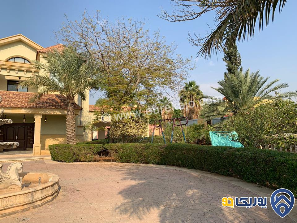  palms farm مزرعة مميزة للإيجار في البحر الميت 