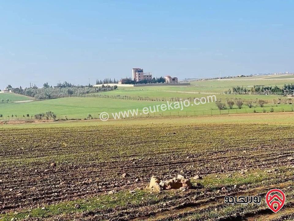 قطعة أرض مساحة 10 دونم للبيع في عمان - أم رمانة