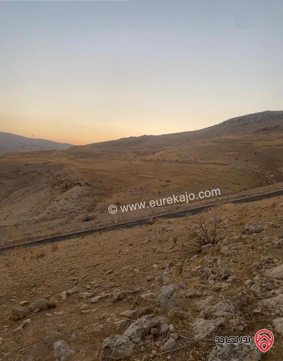 ارض مساحة 3 دونم و 600م للبيع في الزرقاء - السخنة بسعر مغري جداً 
