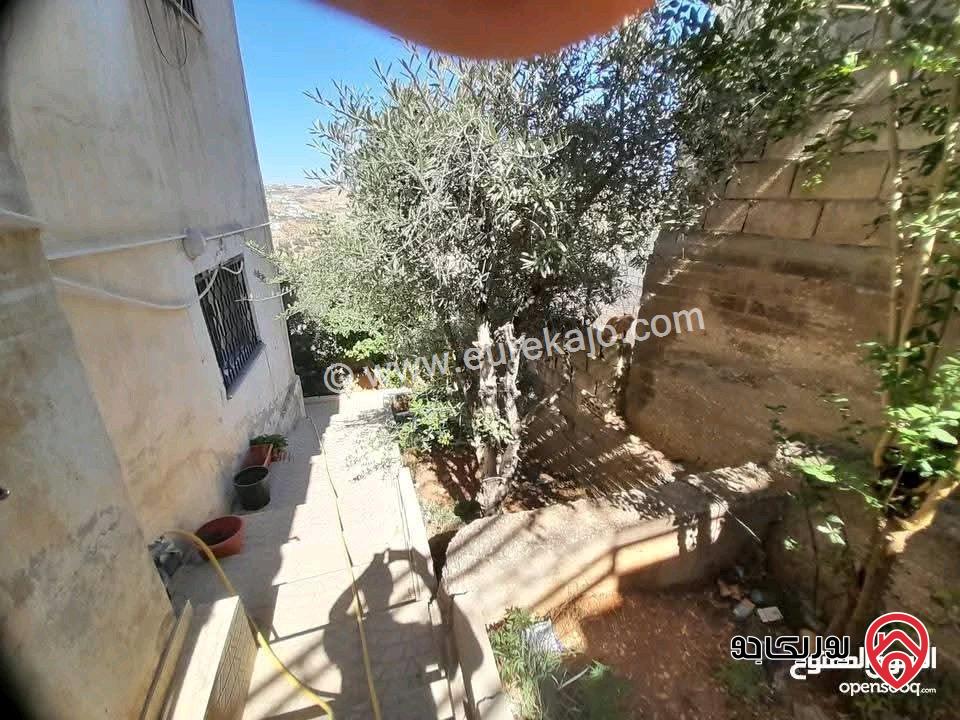 بيت مستقل طابقين على أرض 388م للبيع في عمان - البيادر