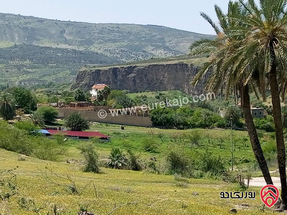 قطعة أرض مساحة 405م للبيع في اربد من اراضي بني كنانة الحمه الاردنية منطقة المسابح والاستراحات