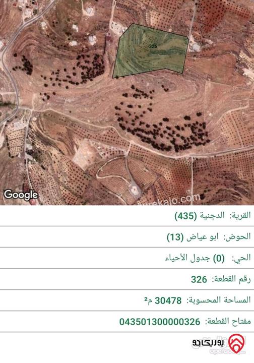 ارض مساحة 30 دونم و 478م للبيع في المفرق - الدجنية