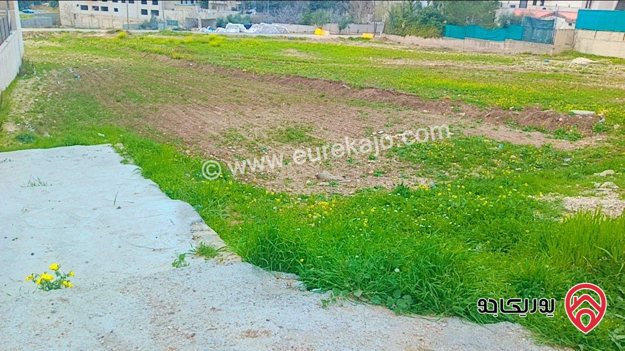 قطعة ارض مساحة 930م للبيع في عمان - الحمر حوض الاميرة عالية