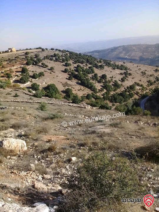 قطعة ارض مساحة 26 دونم للبيع في جرش - سوف